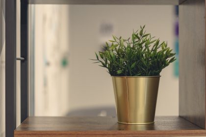 Vestigo-Training-Offices-29